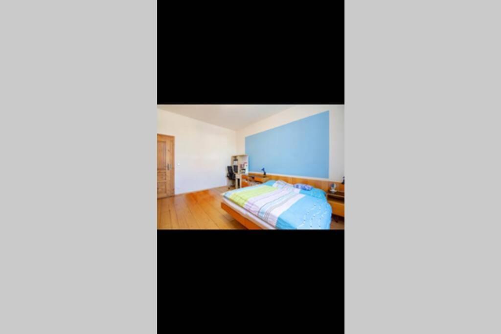Zamecky Apartman V Horni Plane Horni Plana Exterior photo